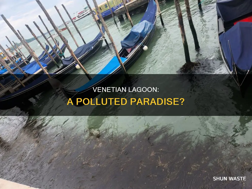 is the venetian lagoon polluted