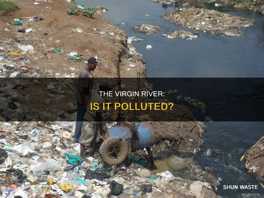 is the virgin river polluted
