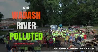 The Wabash River: A Polluted Paradise?