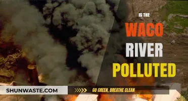 Waco River Pollution: Is It Safe?