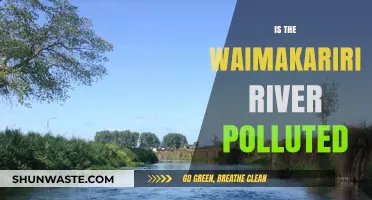 The Waimakariri River: Is it Polluted?