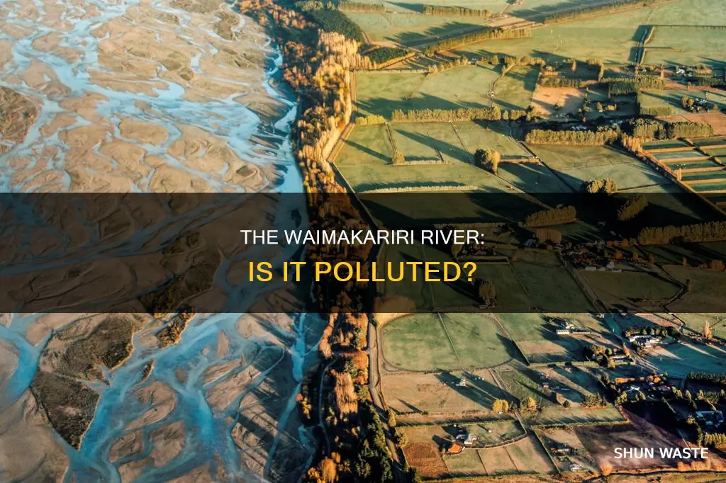 is the waimakariri river polluted