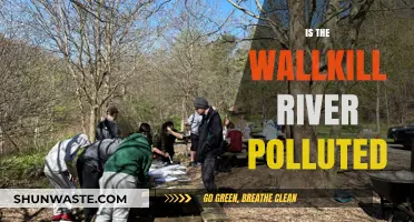 Wallkill River Pollution: Is It Safe?