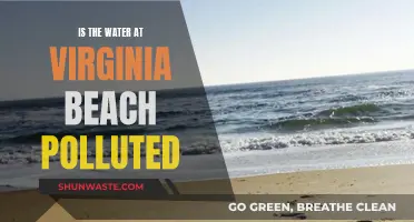 Virginia Beach's Water Quality: A Concerned Citizen's Guide