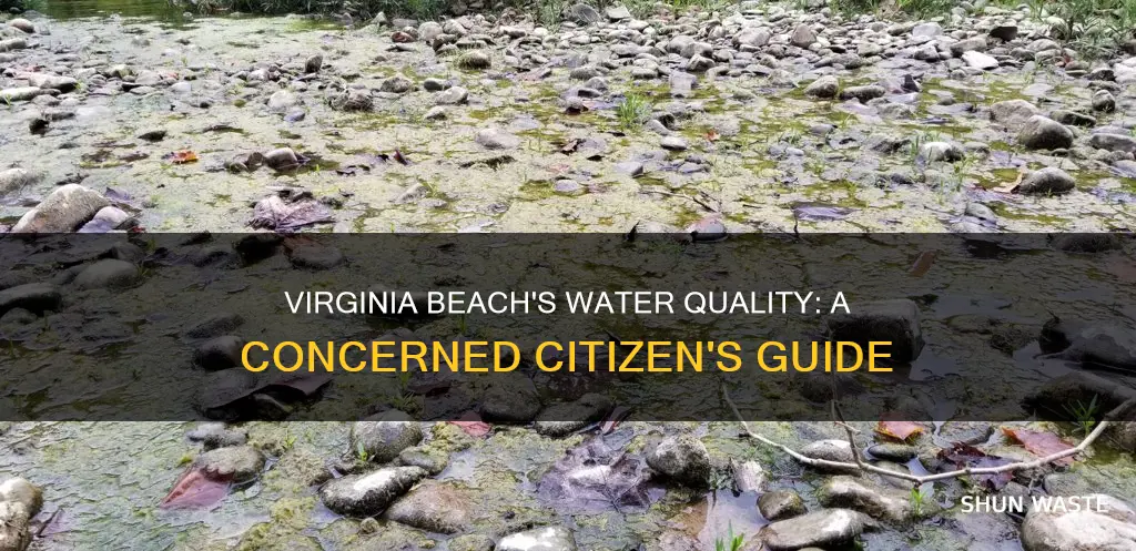 is the water at virginia beach polluted