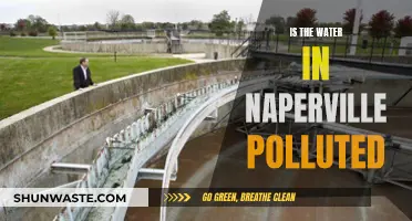 Naperville's Water Quality: A Concerned Citizen's Guide