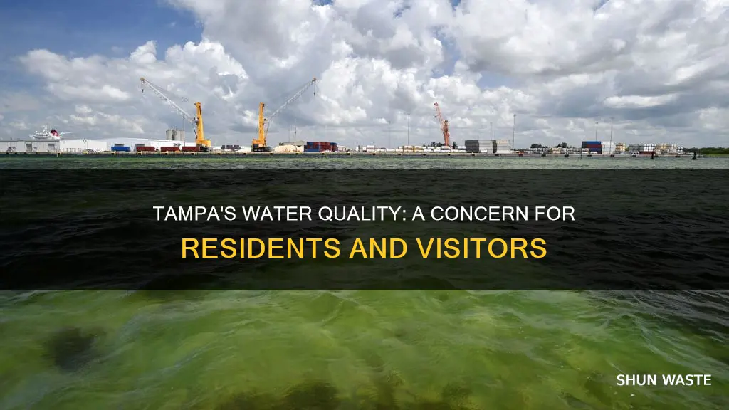 is the water in tampa polluted