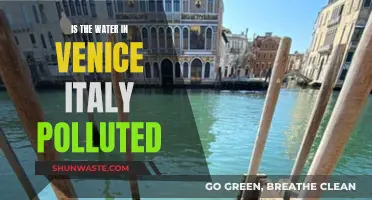 Venice's Water: A Look at Pollution Concerns