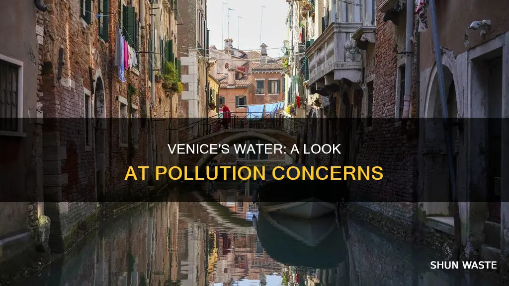 is the water in venice italy polluted