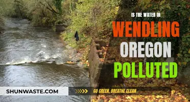 Is Wendling's Water Safe? Uncovering Oregon's Hidden Pollution