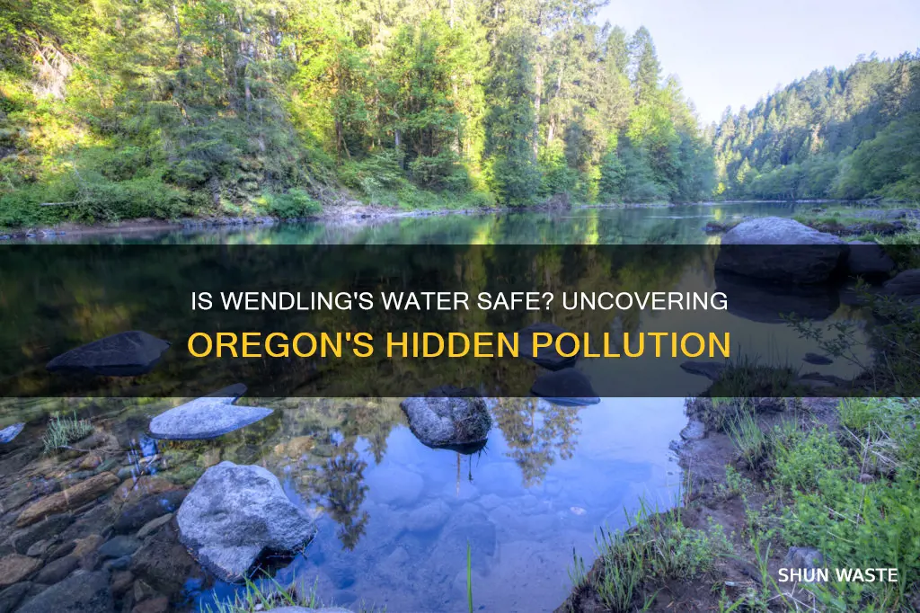 is the water in wendling oregon polluted