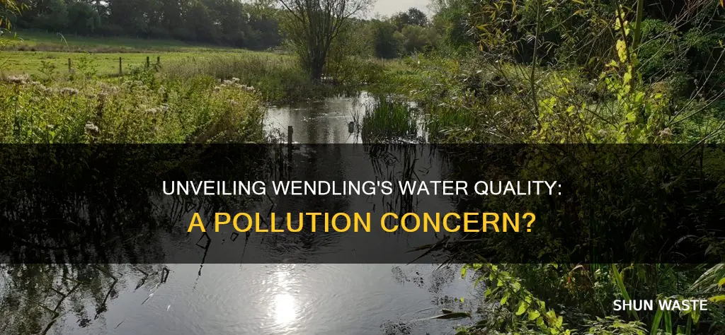 is the water in wendling polluted