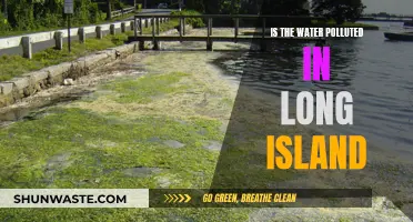 Long Island's Water: A Deep Dive into Pollution Concerns