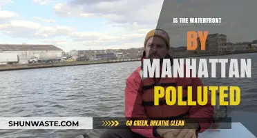Waterfront Pollution: Manhattan's Dirty Secret