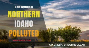 Idaho's Watershed: Is Pollution a Concern?