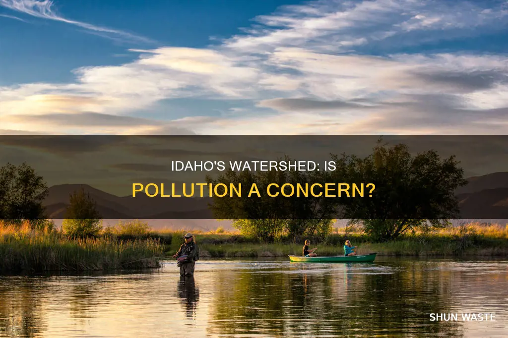 is the watershed in northern idaho polluted