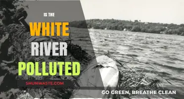 The White River's Pollution Problem