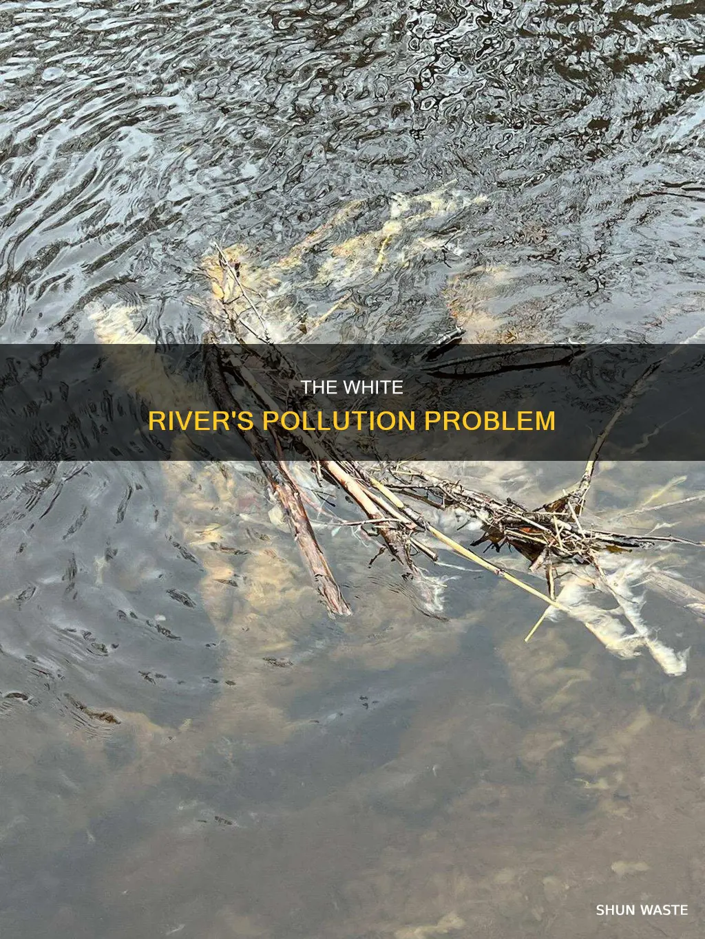 is the white river polluted