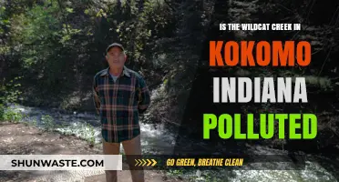 Wildcat Creek's Pollution Problem in Kokomo, Indiana