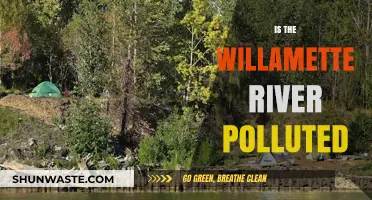 Is Willamette River Pollution a Concern?