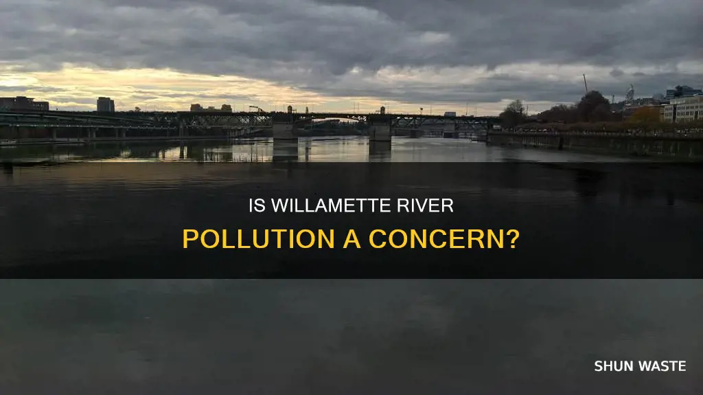 is the willamette river polluted