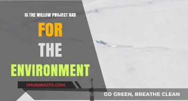 Willow Project's Environmental Impact: Harmful or Sustainable Development?