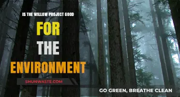 Willow Project: Environmental Savior or Ecological Threat?