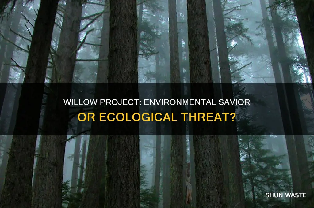 is the willow project good for the environment