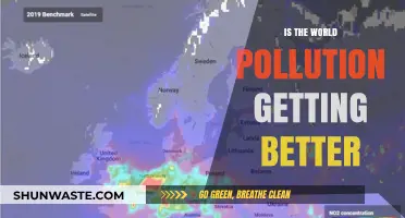 Pollution's Progress: Is the World Getting Cleaner?