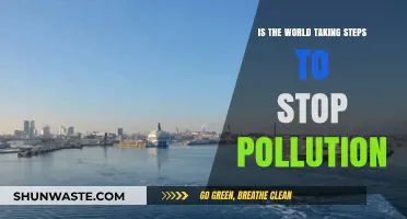 Steps Against Pollution: Is the World Doing Enough?