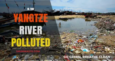 Yangtze River: A Polluted Paradise?