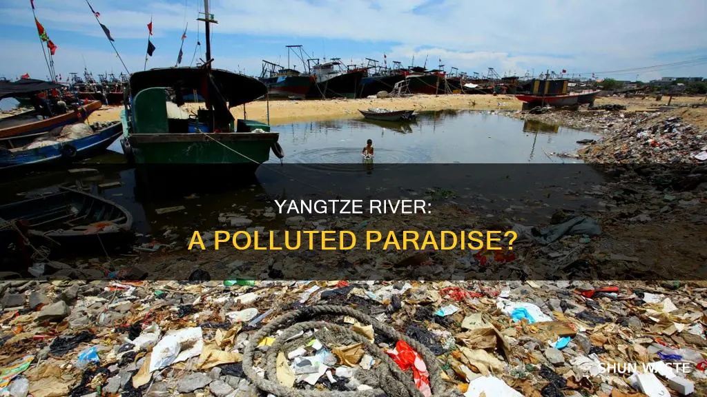 is the yangtze river polluted