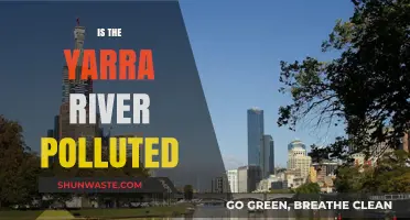 The Yarra River: A Polluted Paradise?