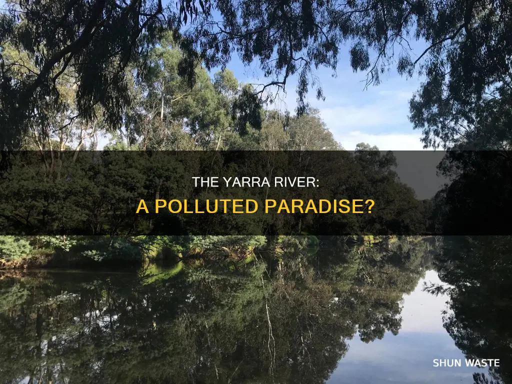 is the yarra river polluted