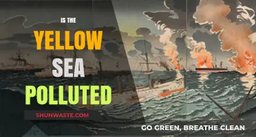 Yellow Sea Pollution: Is It a Lost Cause?