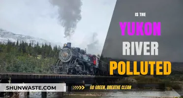 Yukon River Pollution: Is It a Concern?