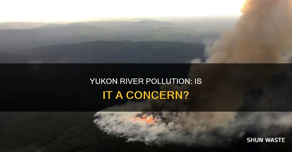 is the yukon river polluted