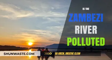 Zambezi River Pollution: Is It a Concern?