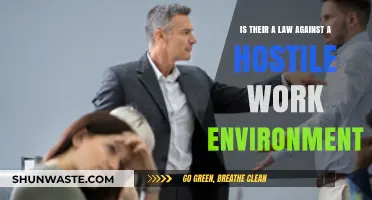 Hostile Work Environment: Legal Protections and Employee Rights Explained