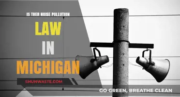 Michigan's Noise Pollution Laws: What You Need to Know