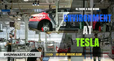 Toxic Tesla Culture: Unveiling the Truth About Its Work Environment