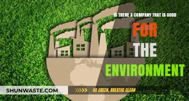 Eco-Friendly Companies: Leading the Way in Sustainable Business Practices
