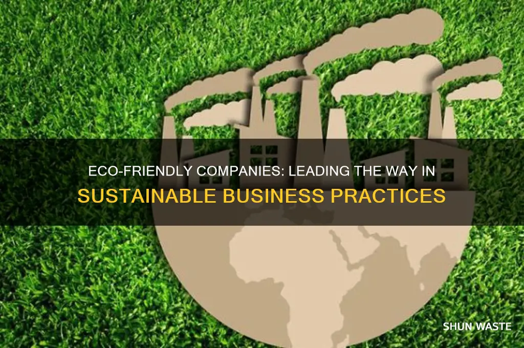 is there a company that is good for the environment