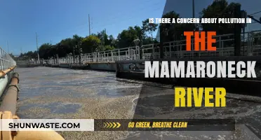 Mamaroneck River: Pollution Threat?