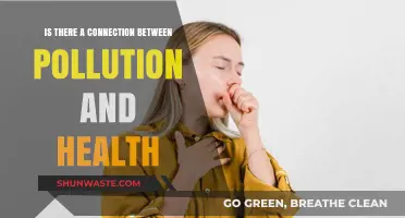 Pollution's Impact: Understanding Health Connections