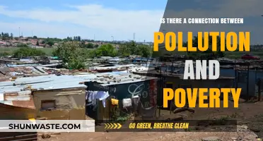 Pollution and Poverty: A Vicious Cycle of Environmental Injustice