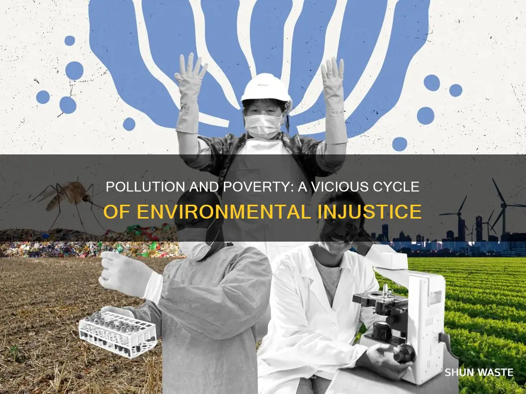 is there a connection between pollution and poverty