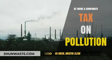 Pollution Tax: Should Companies Pay Corporate Tax on It?