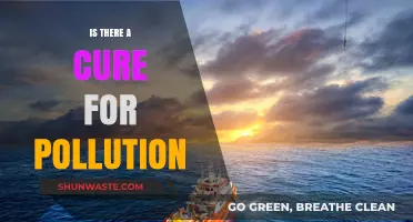 Pollution: Can We Cure It?