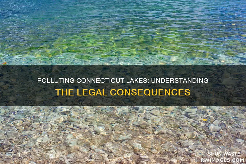 is there a fine for polluting a lake in ct